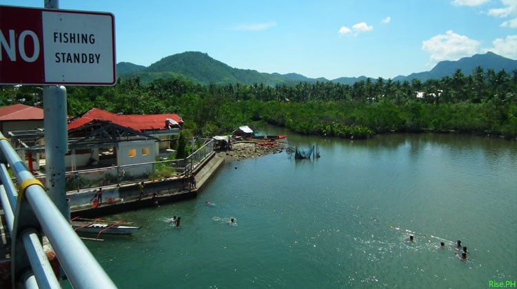 Below San Juanico Bridge