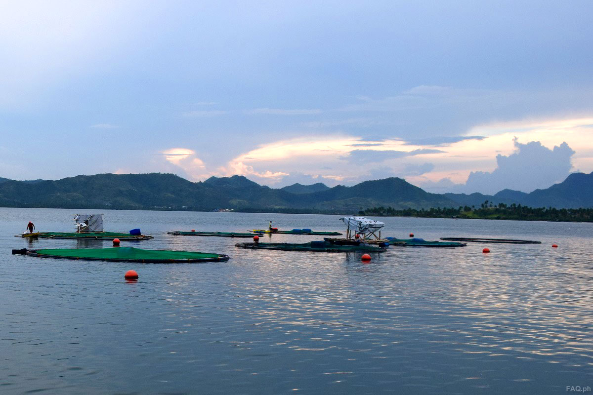 fish cages in Samar