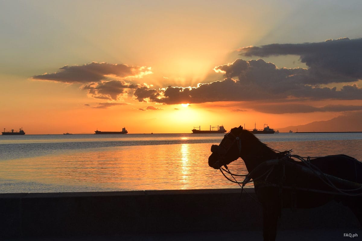 Horse at Manila Bay Sunset