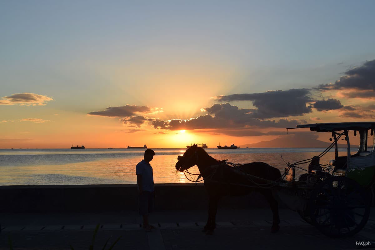 Horse and man at Manila Bay
