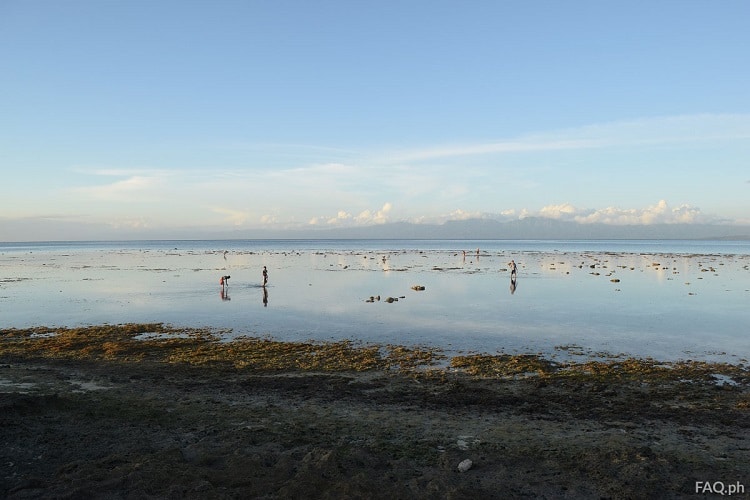 Digyo Island shallow waters