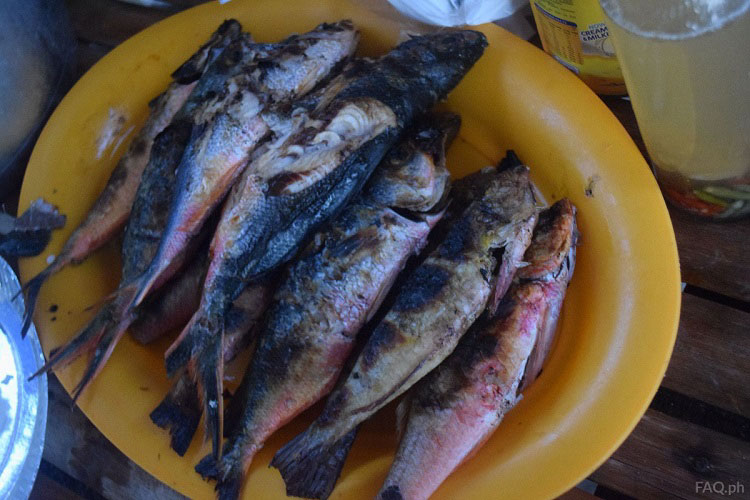 Grilled Fish