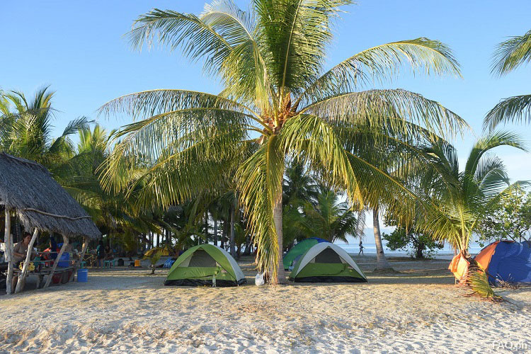 Digyo Island camping tents