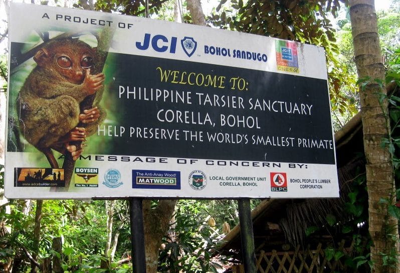 tarsier sanctuary